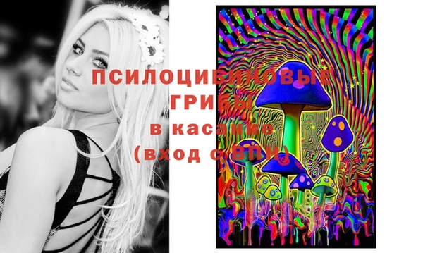 дмт Мегион