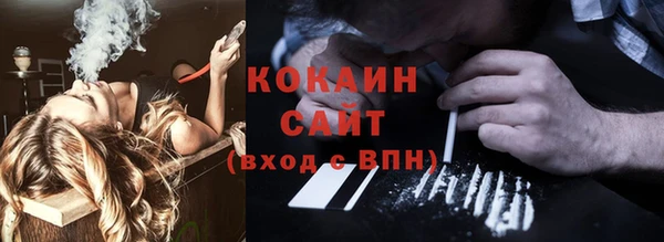 СК Медвежьегорск
