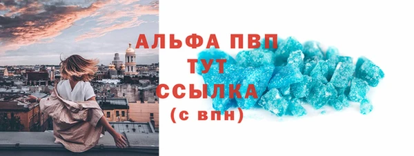 СК Медвежьегорск