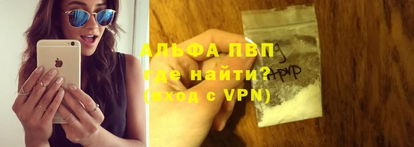 СК Медвежьегорск