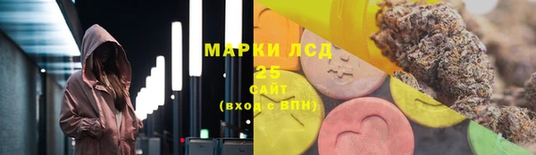СК Медвежьегорск