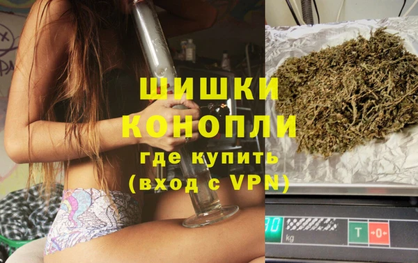 дмт Мегион