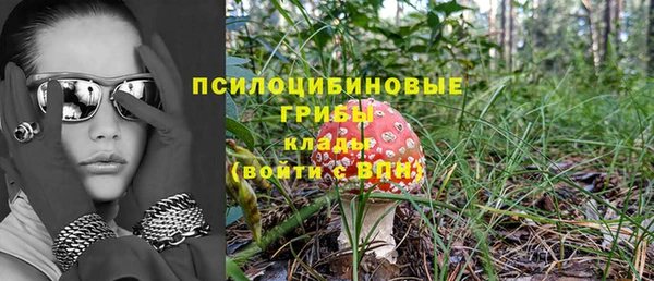 дмт Мегион